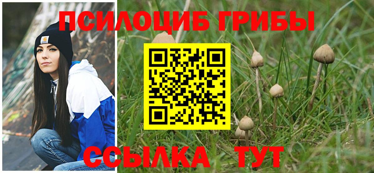 Южно-Сахалинск  Псилоцибиновые грибы мицелий  Вход с VPN  Псилоцибиновые грибы GOLDEN TEACHER 