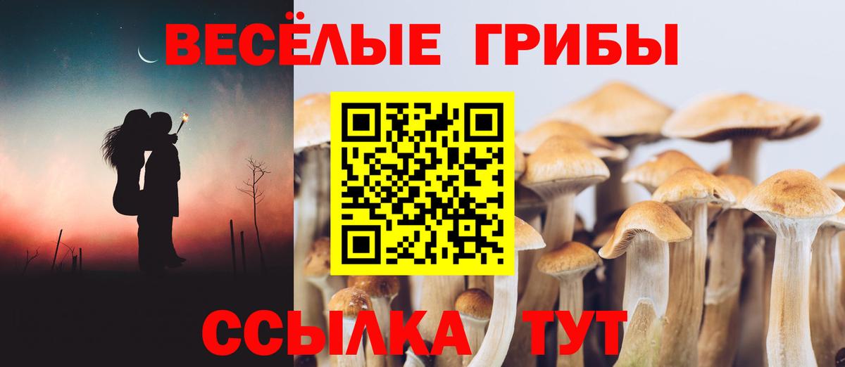 Галлюциногенные грибы мицелий Южно-Сахалинск